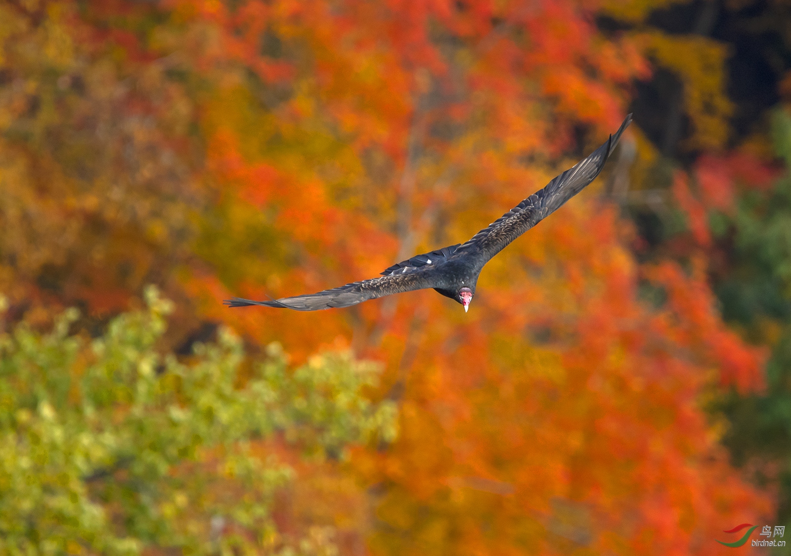 DSC_2252.jpg