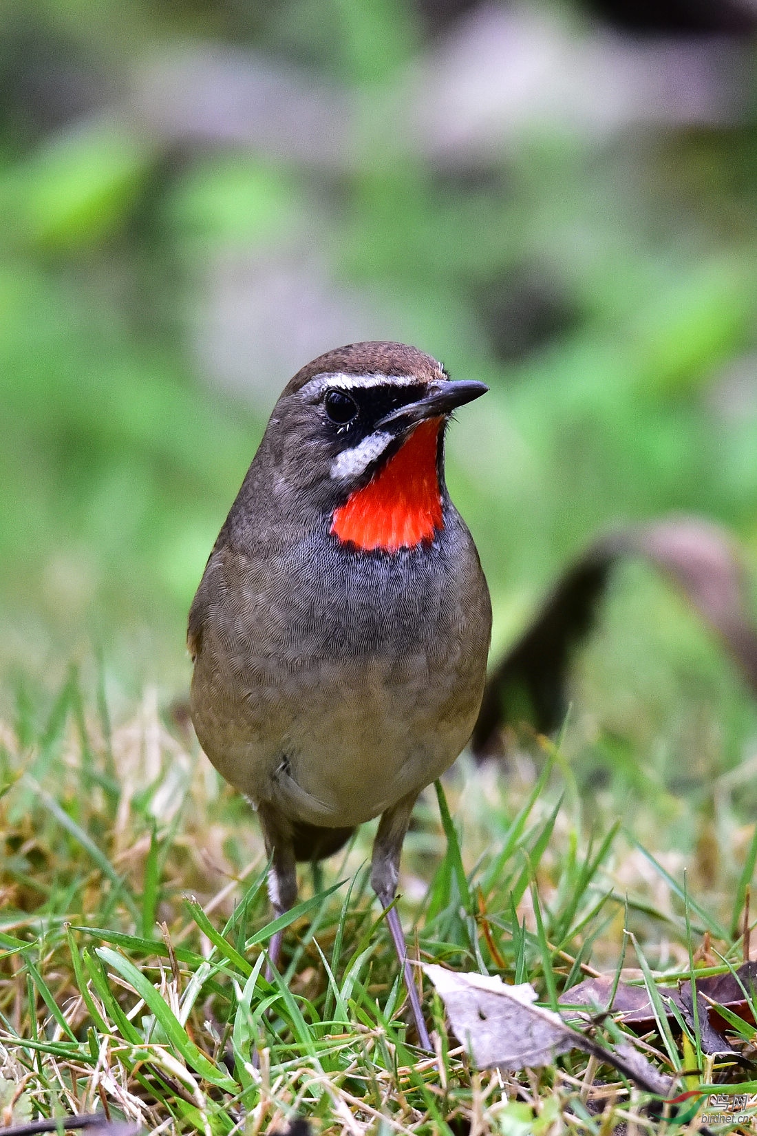 DSC_0163.JPG