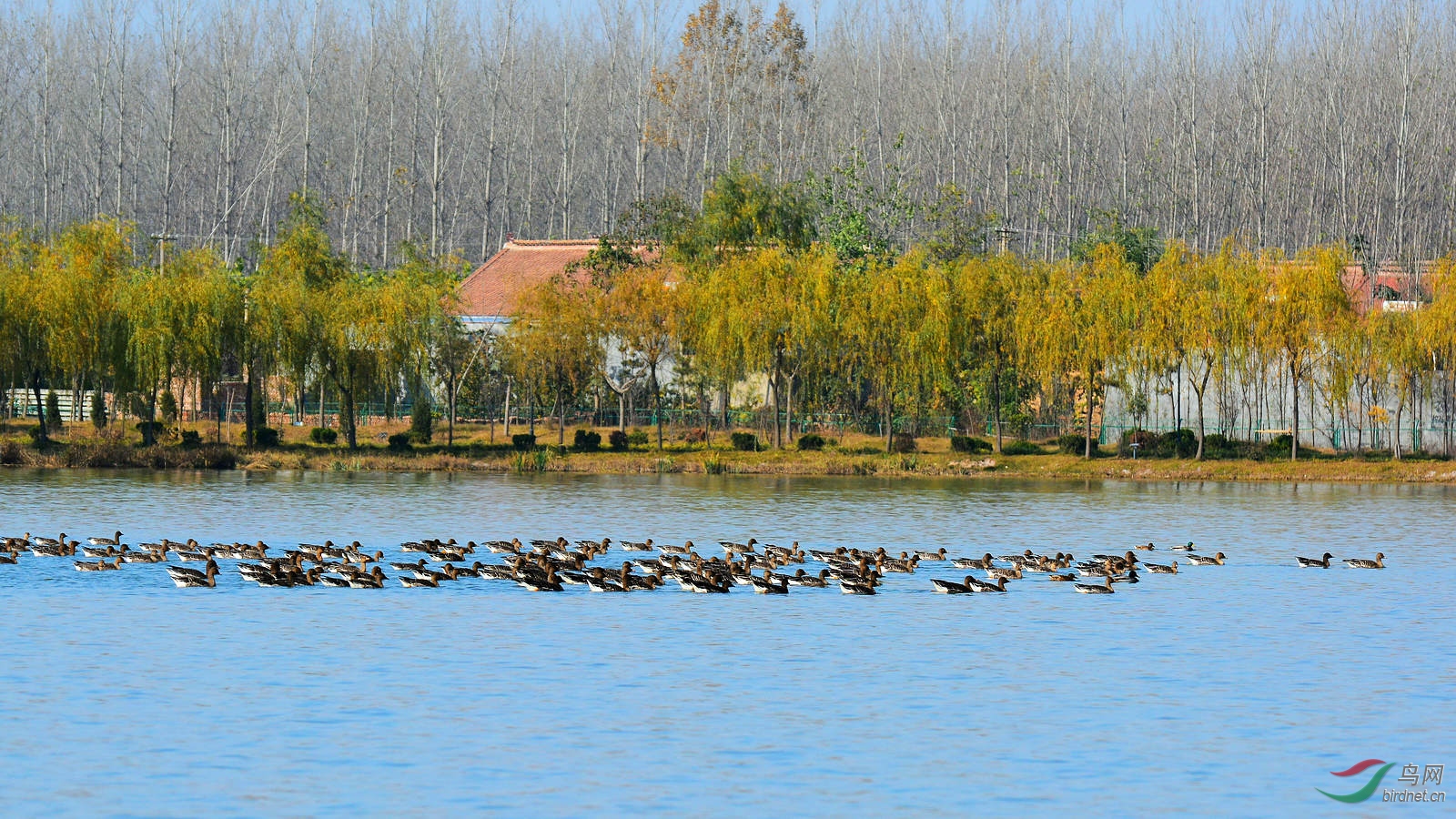 DSC_3974.JPG