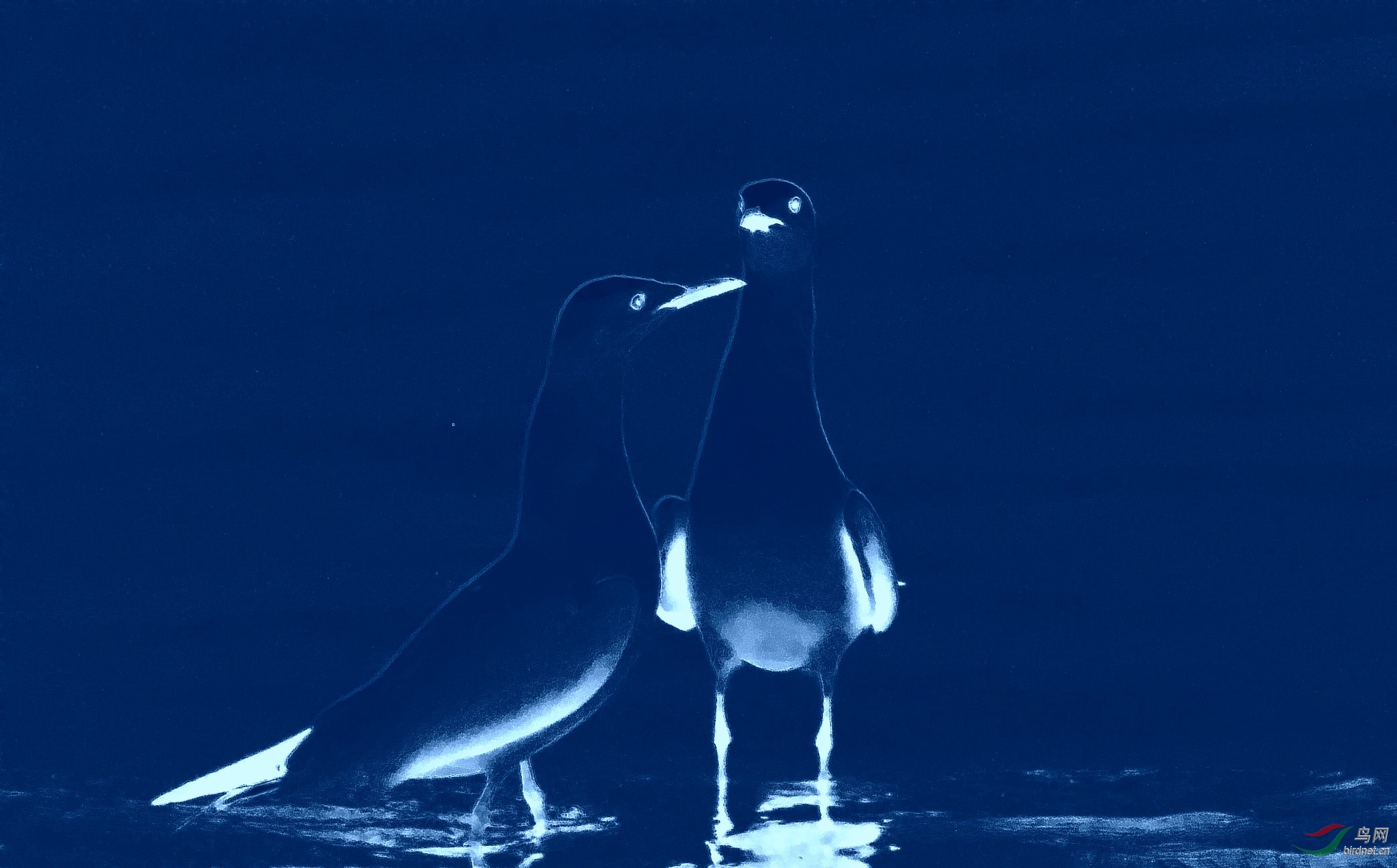 DSC_5871_conew1.jpg