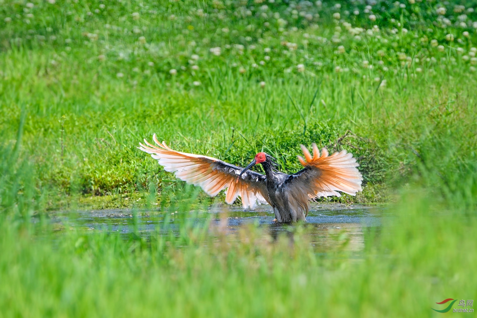 DSC_6072С.jpg
