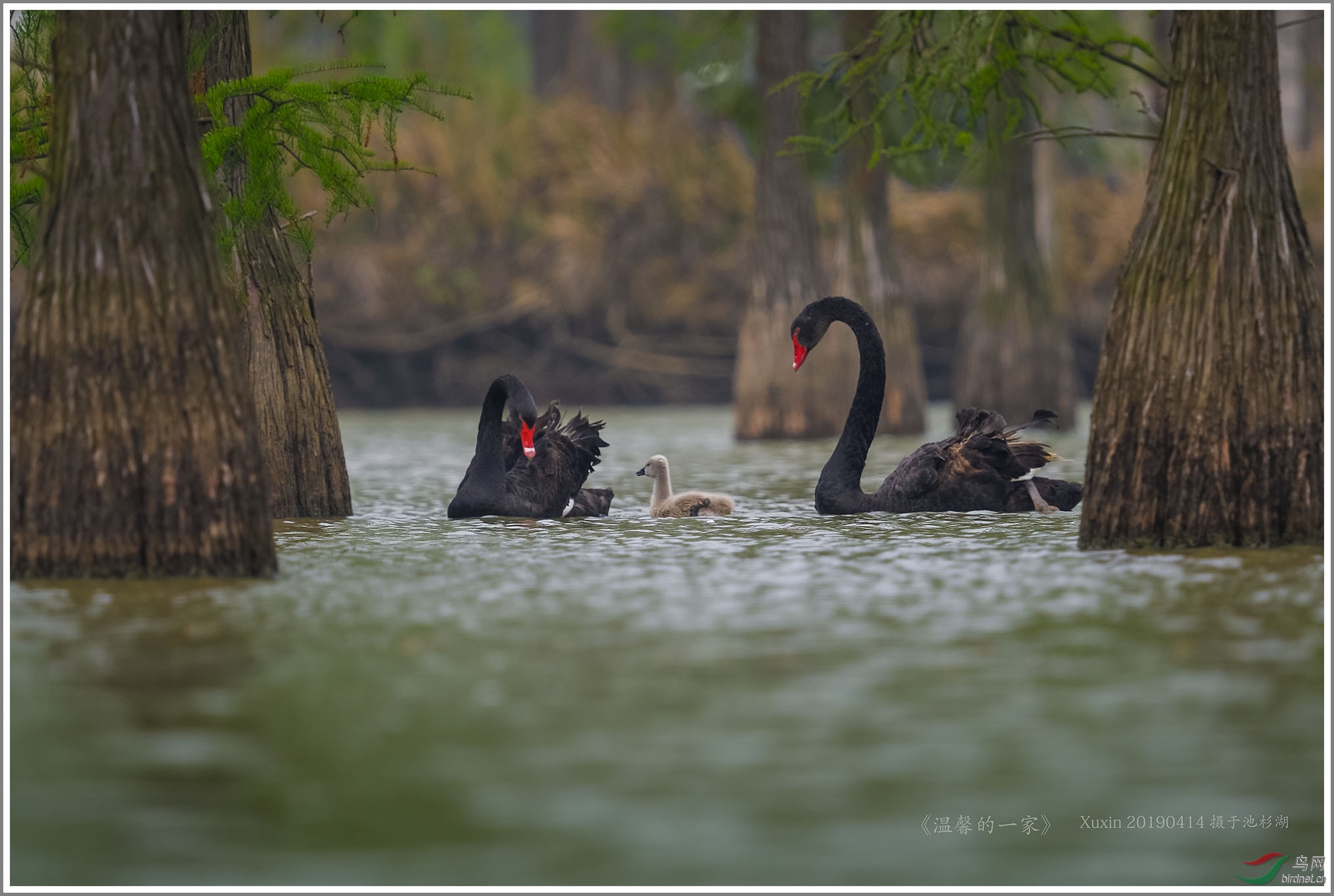 ��_XUX2034��Ϊ���ܶ���-1 2000.jpg