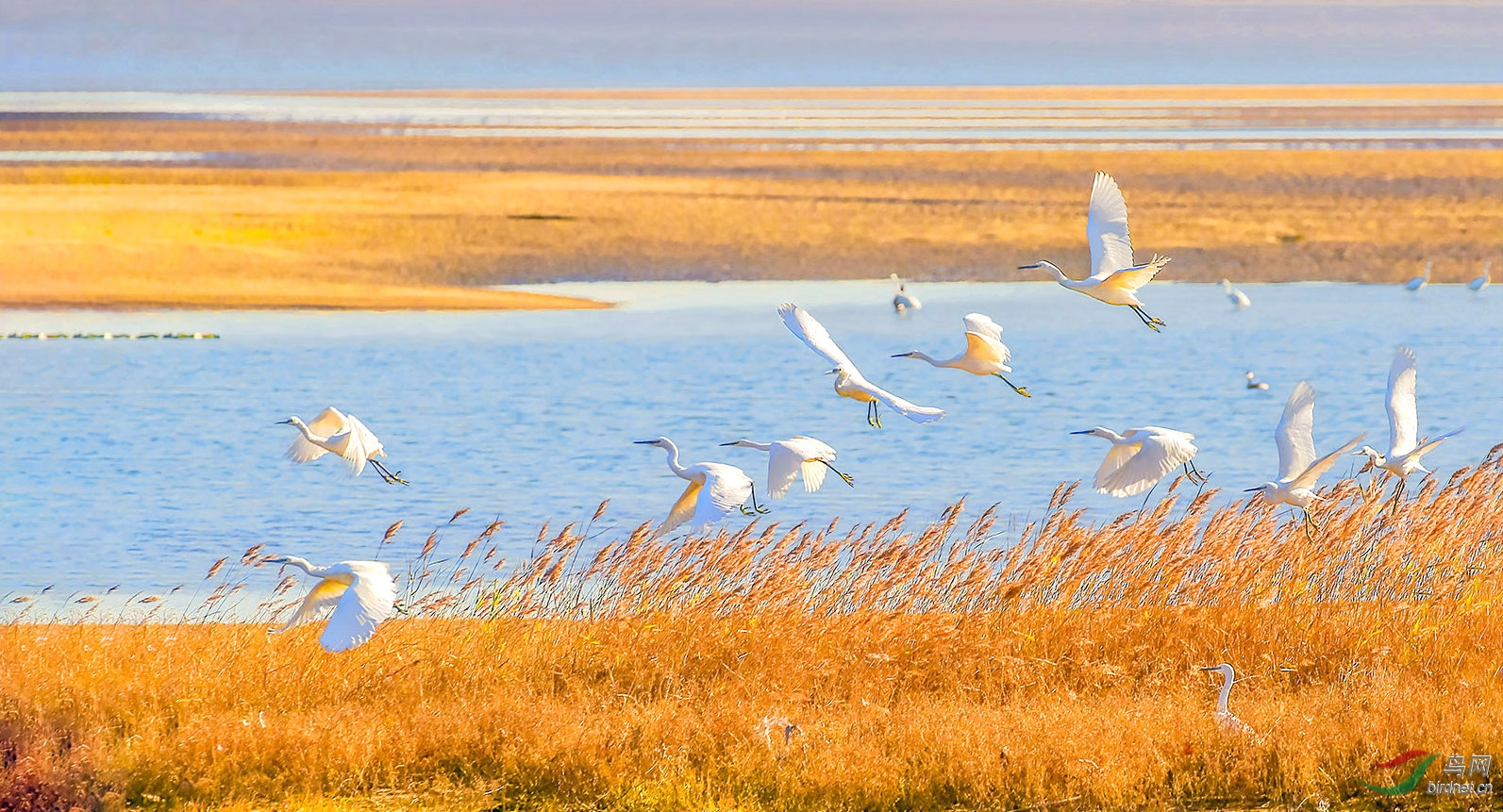 916A7842  03_����.jpg