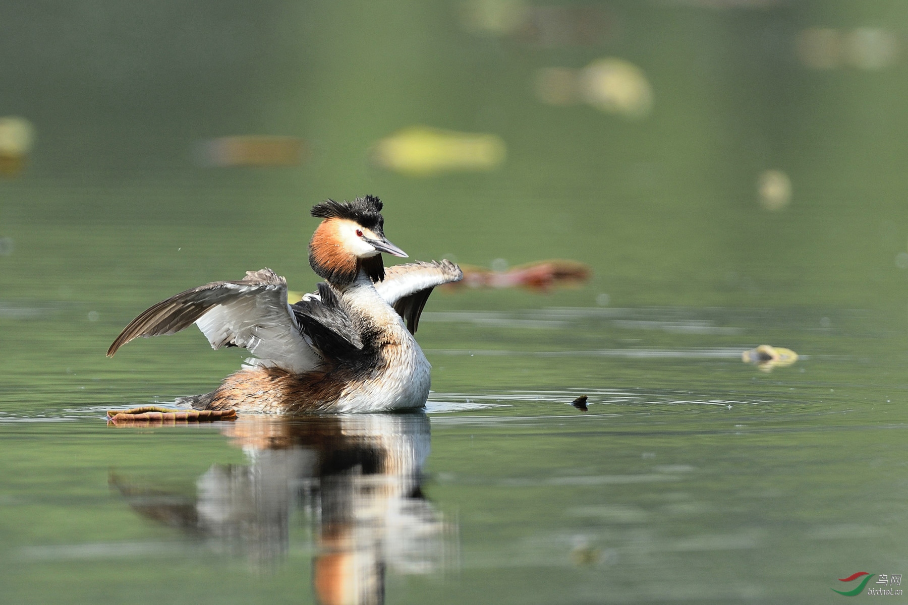 DSC_0798_00038_01.JPG