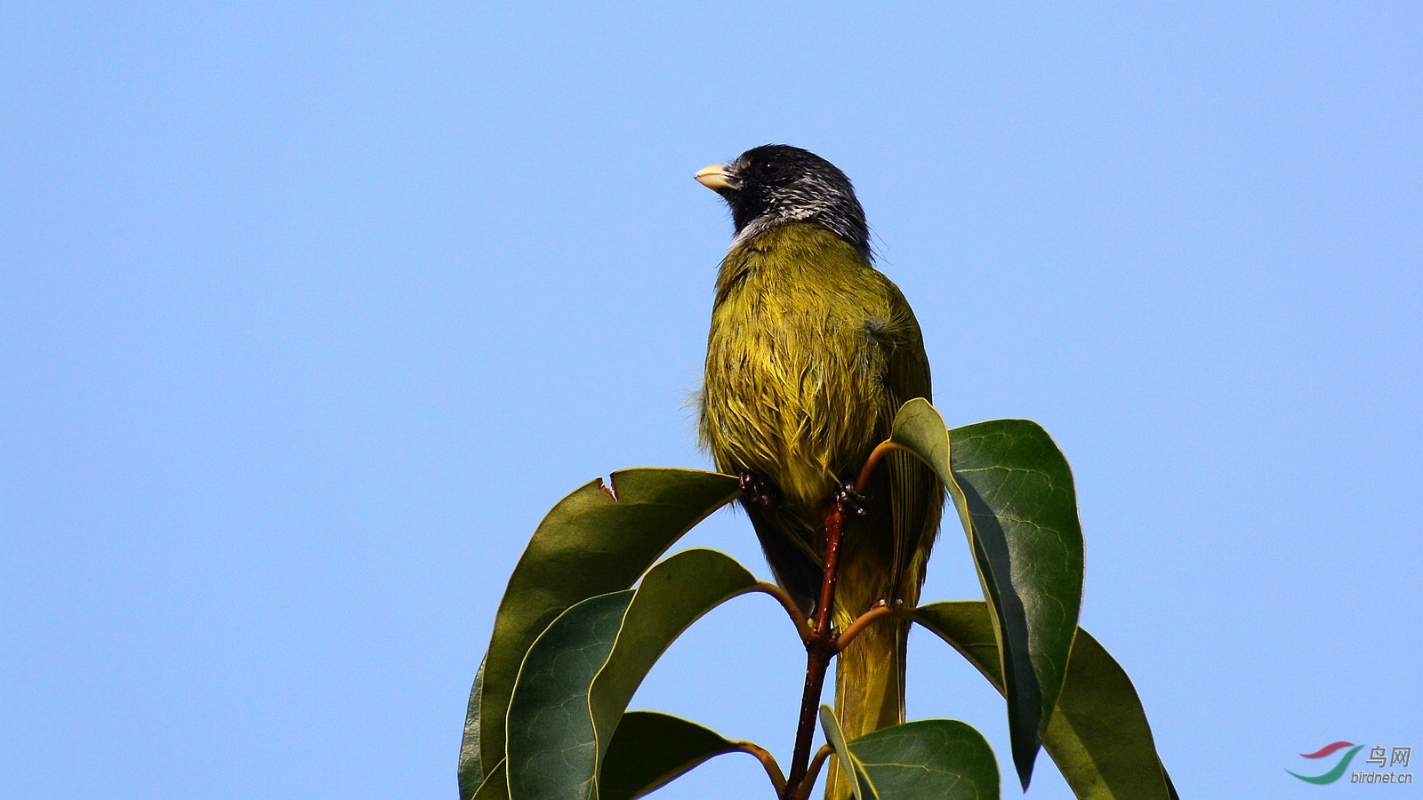 DSC_1441.JPG