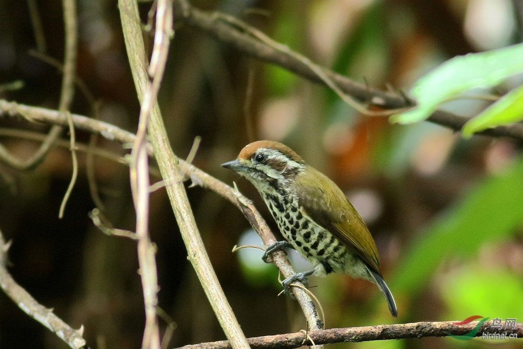 367A8536_����.jpg