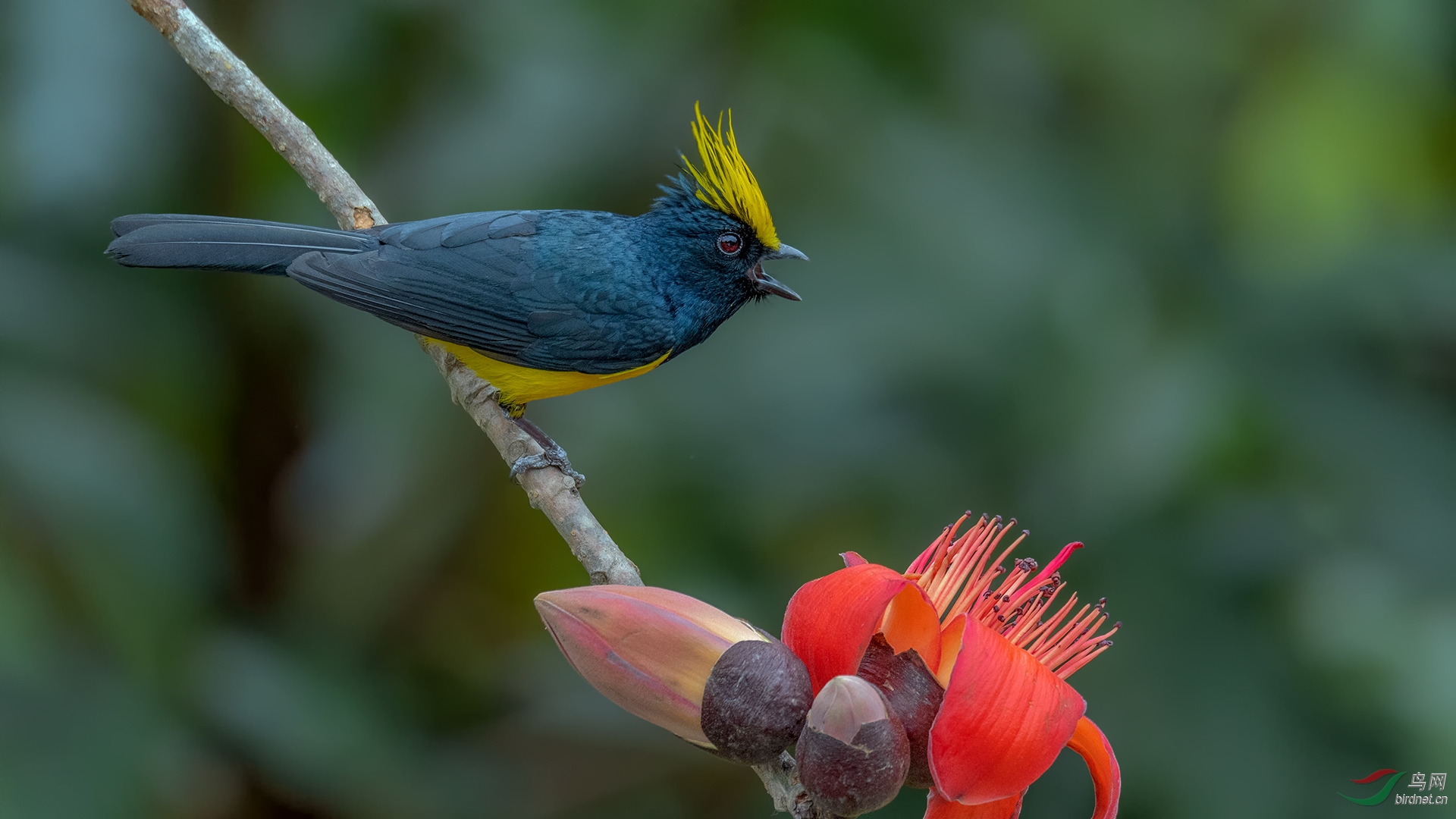 _DSC3875-1.jpg