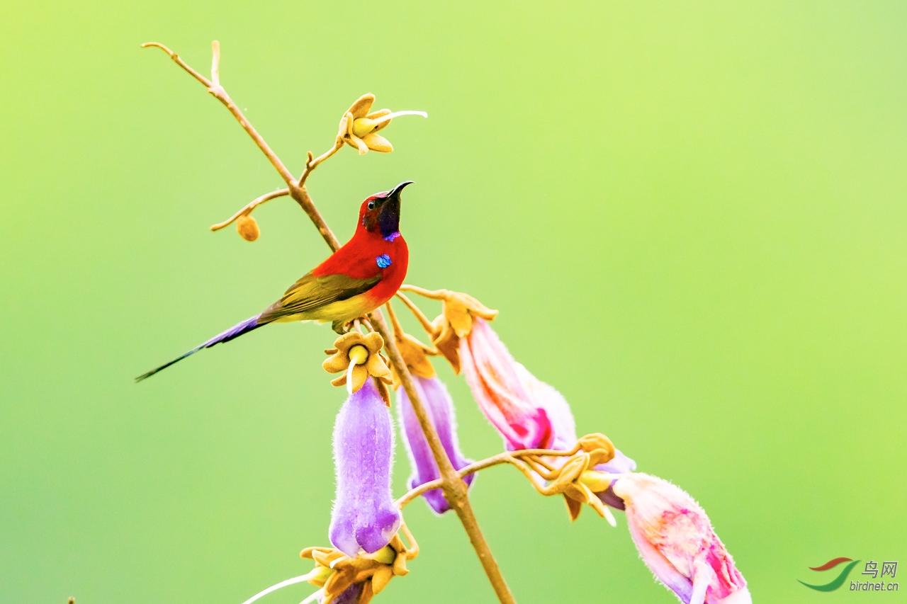 134.jpg
