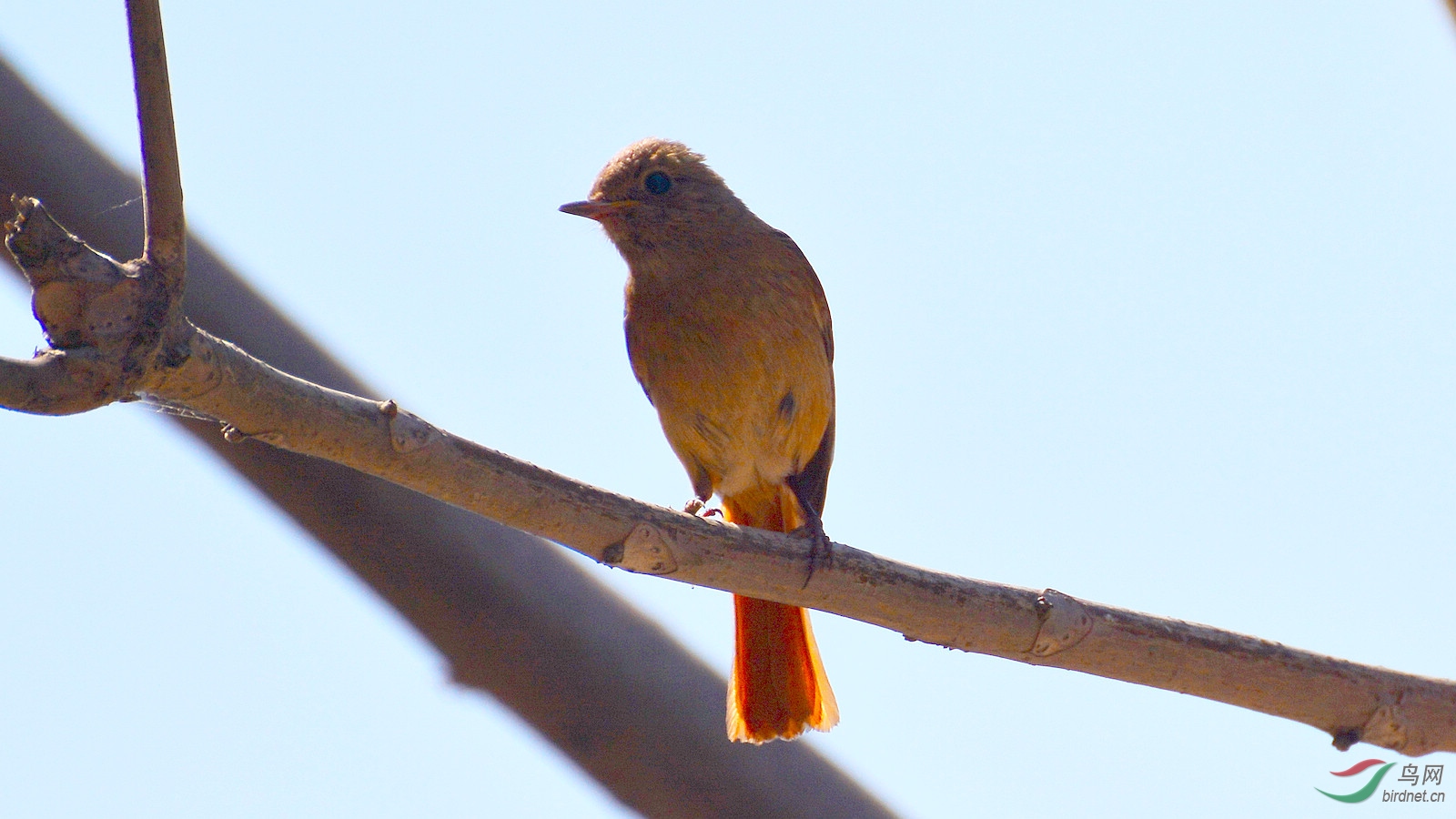 DSC_8416.JPG