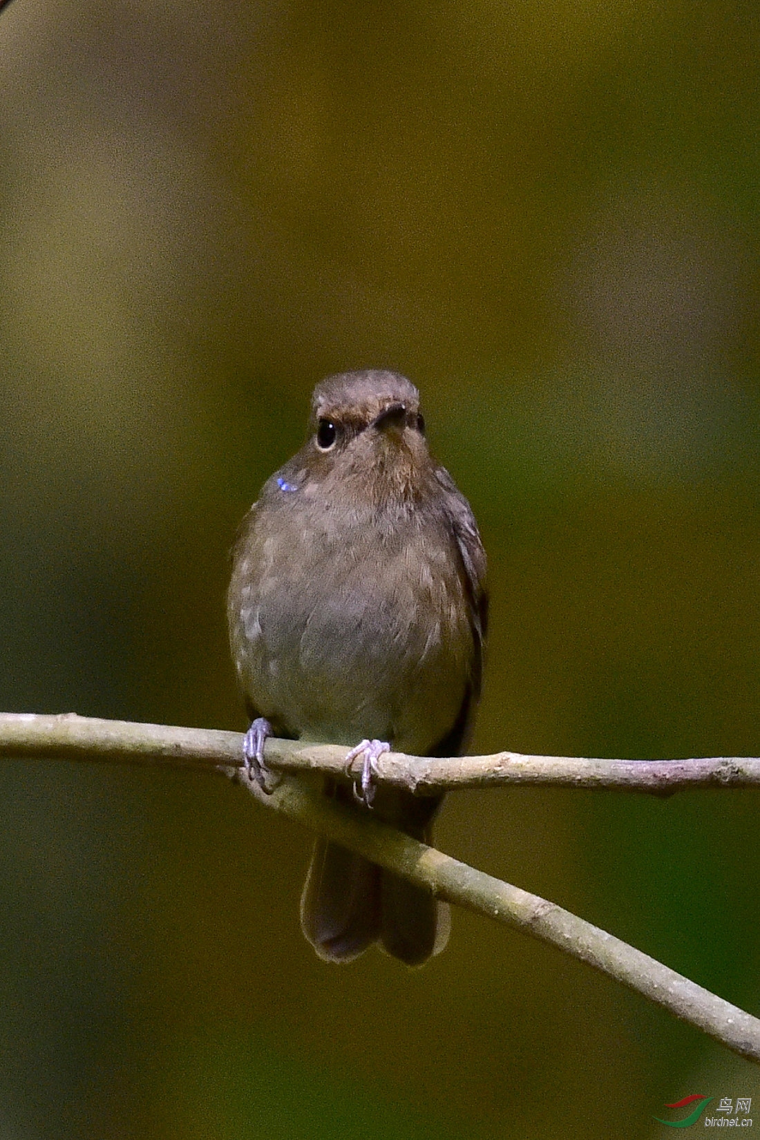 DSC_0181.JPG