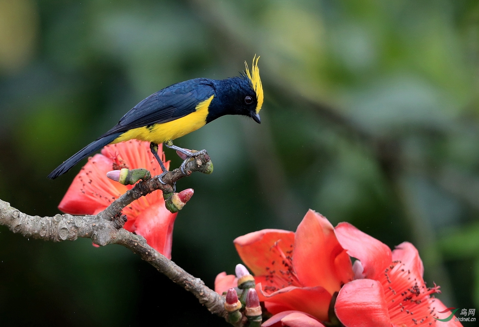 AI0I4226 - ����.JPG