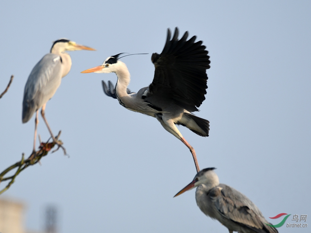 D50_9669.jpg