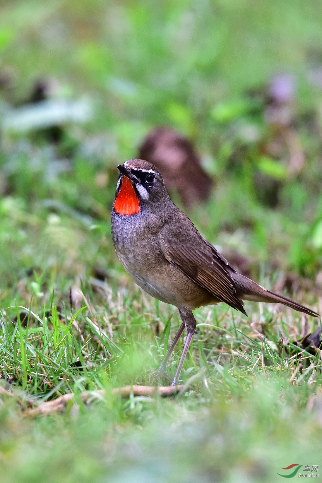 DSC_0193.JPG