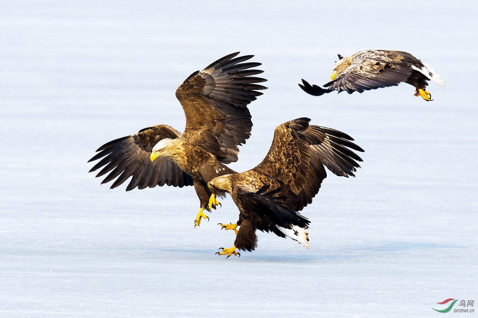 _DSC2147-1.jpg