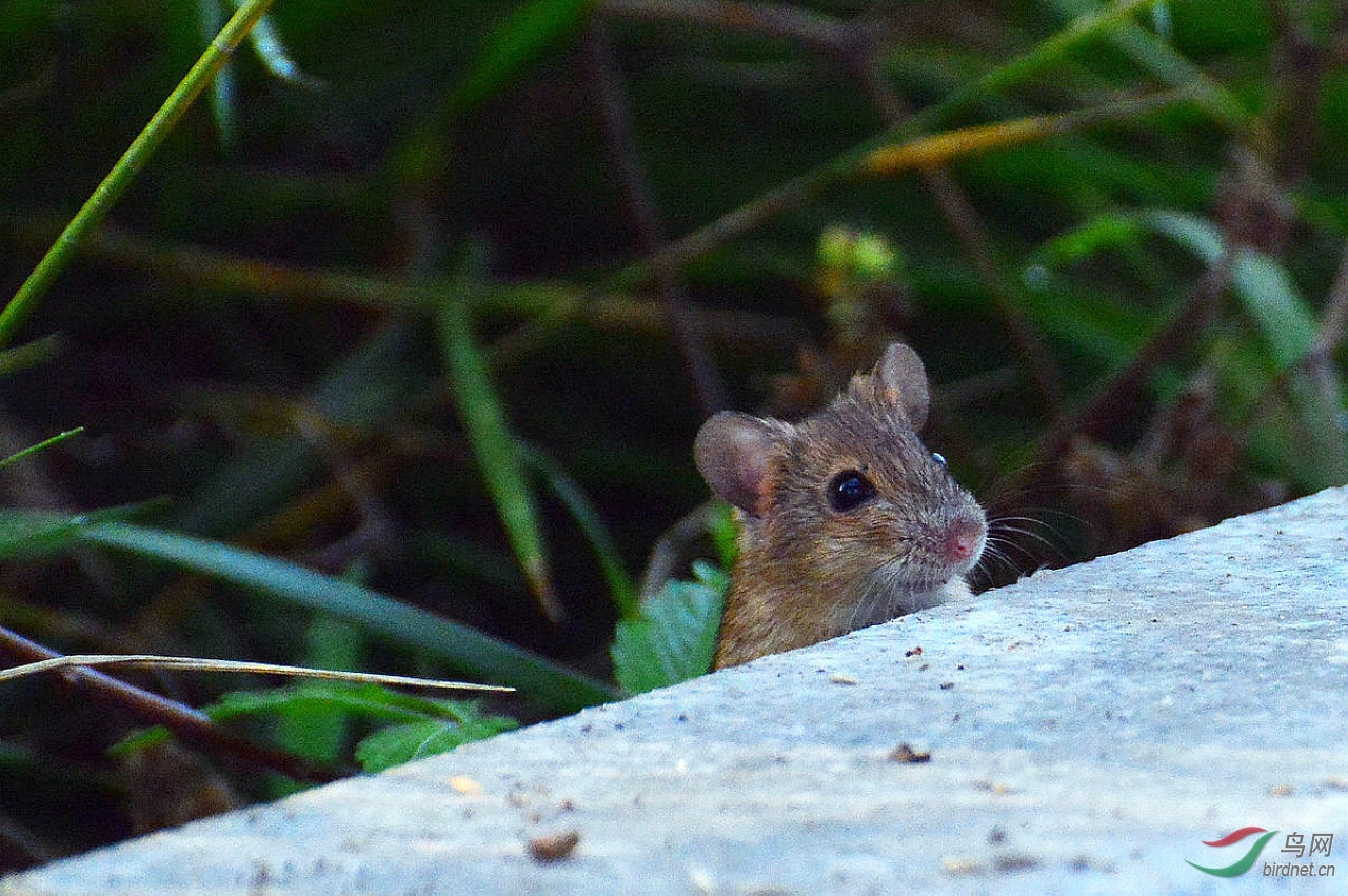 DSC_3692.JPG