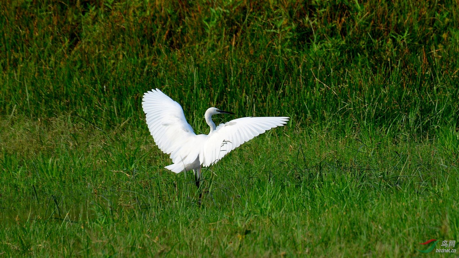 DSC_7098.JPG
