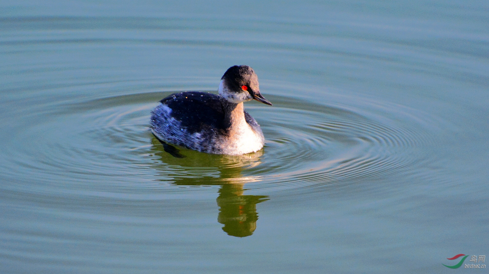 DSC_7380.JPG