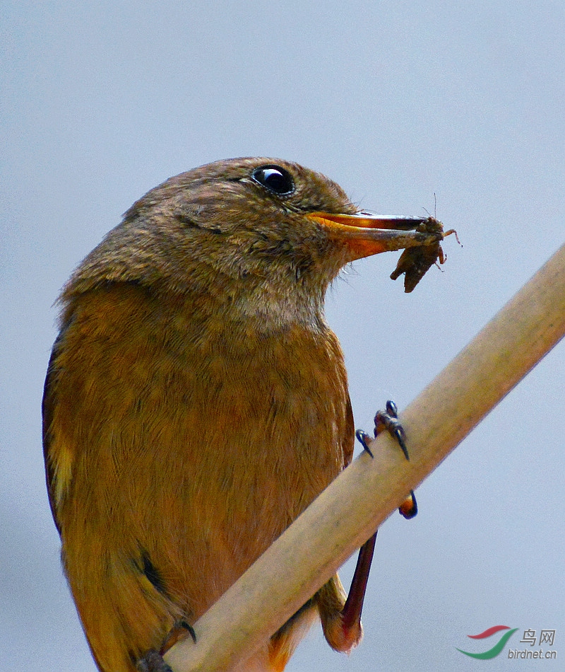 DSC_8539.JPG