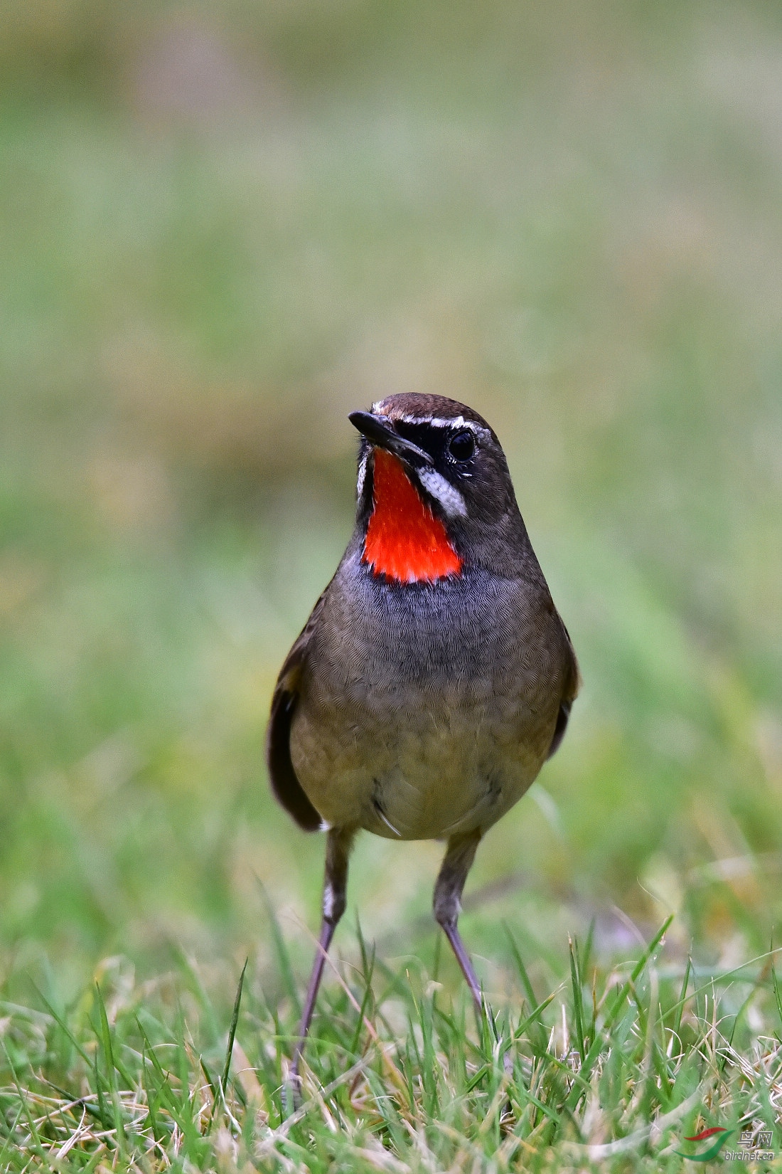 DSC_0207.JPG