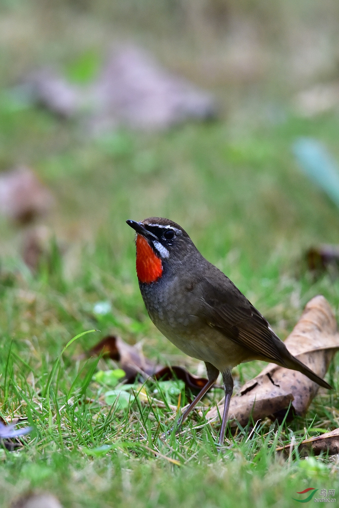 DSC_0214.JPG