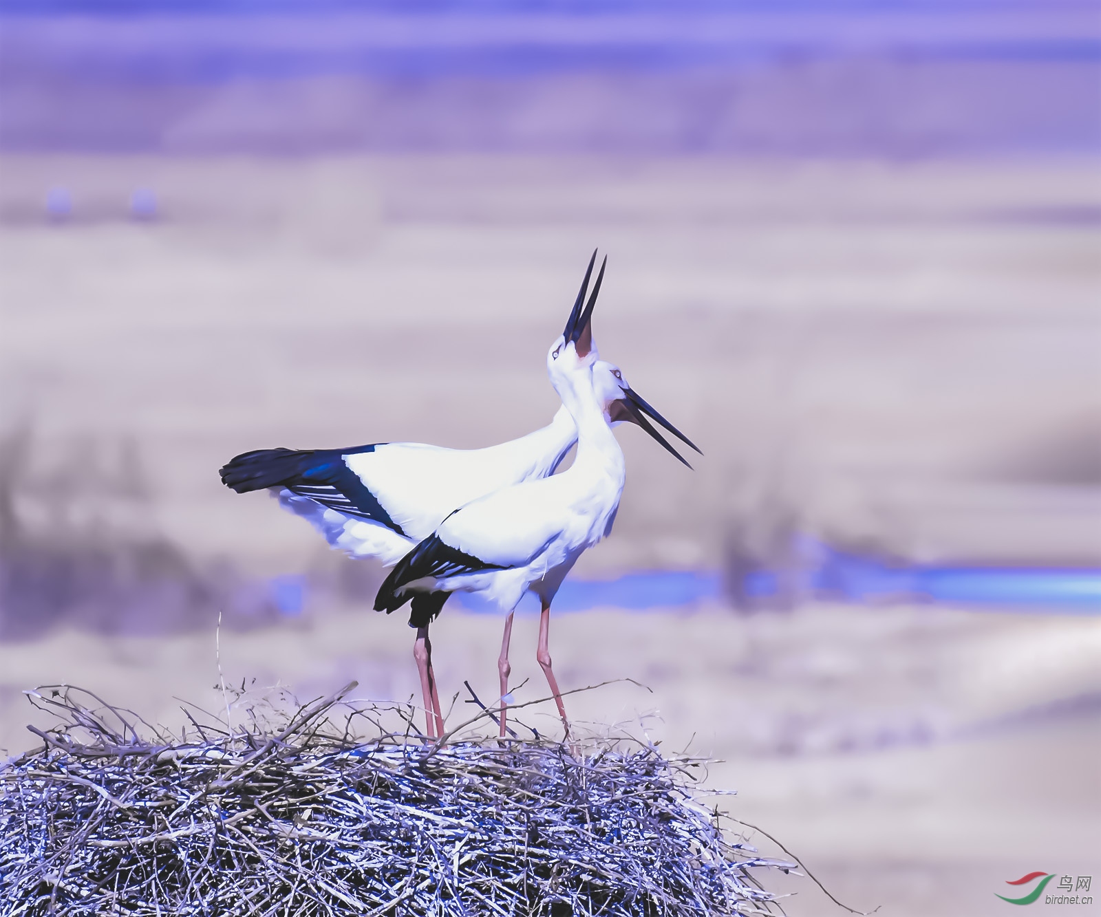 СϪ��ϼ����