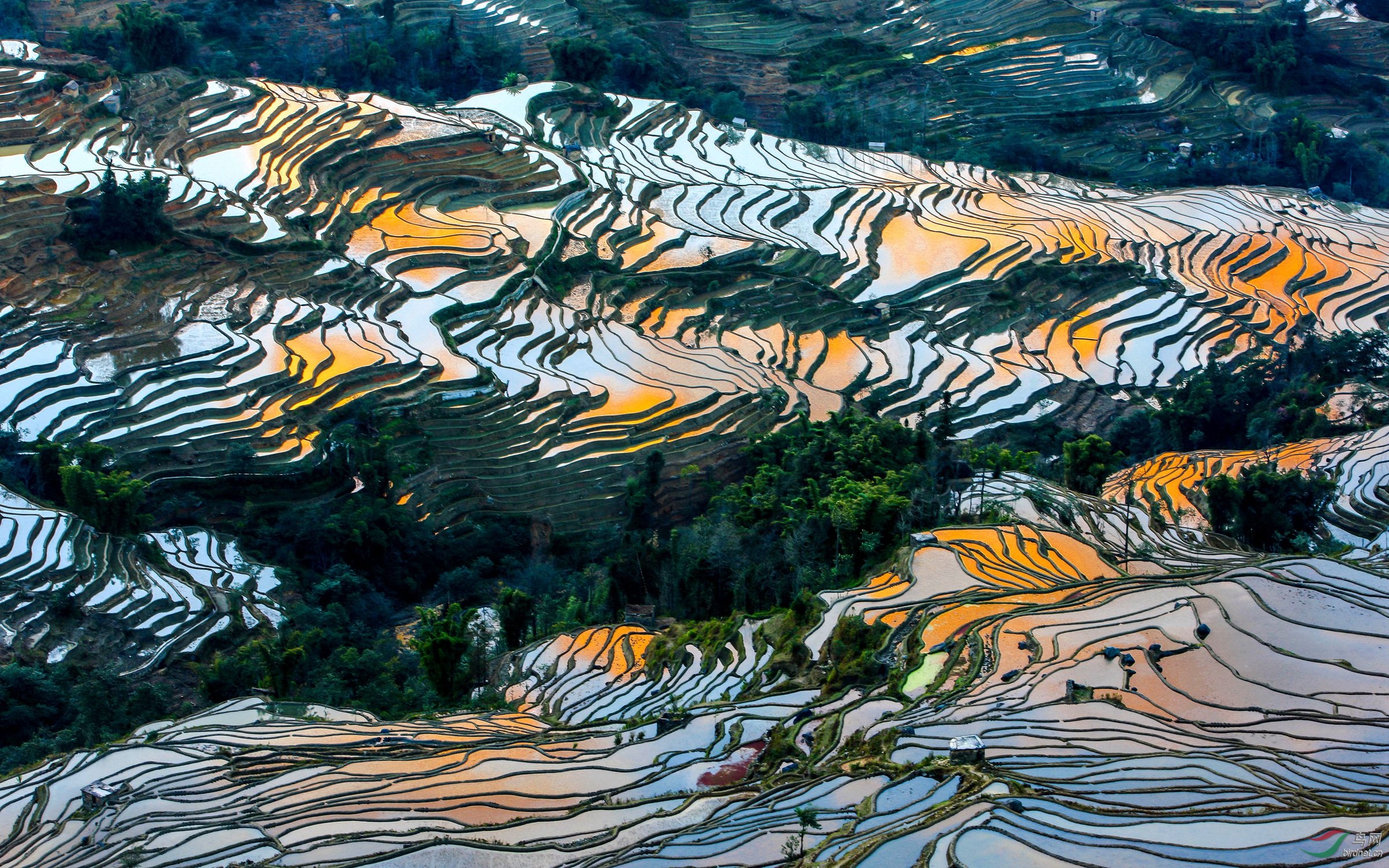 多彩梯田 - 新疆版 xinjiang 鸟网