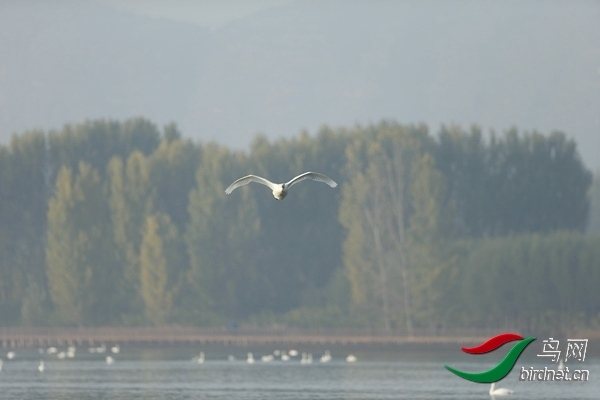 _E8J0557.jpg