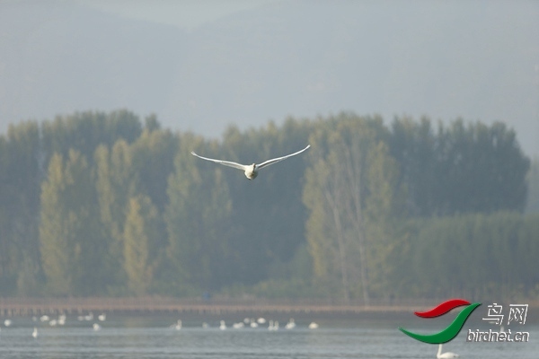 _E8J0558.jpg