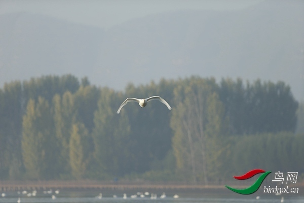 _E8J0560.jpg