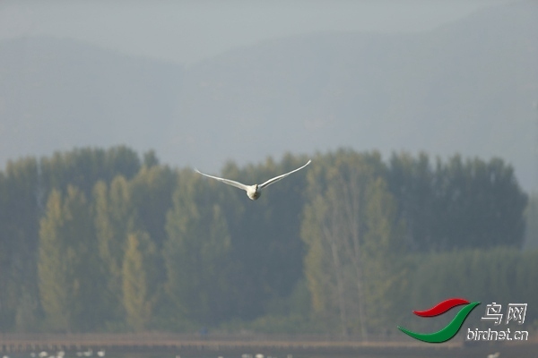 _E8J0561.jpg