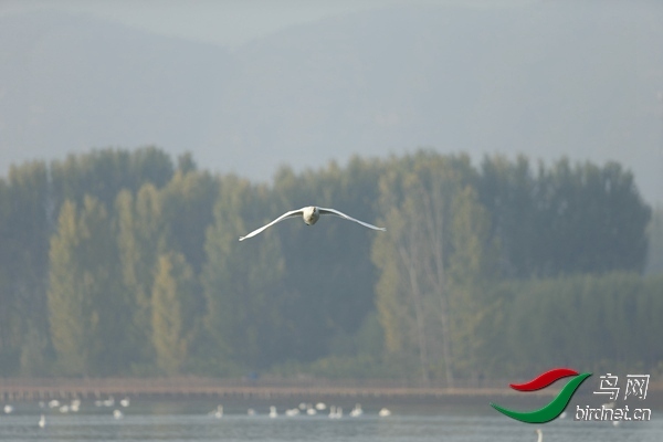 _E8J0559.jpg