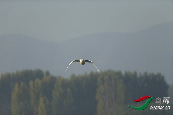 _E8J0566.jpg