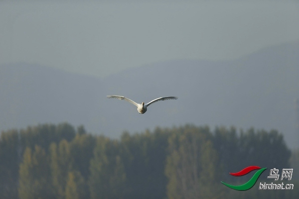 _E8J0567.jpg