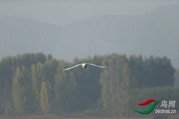_E8J0562.jpg