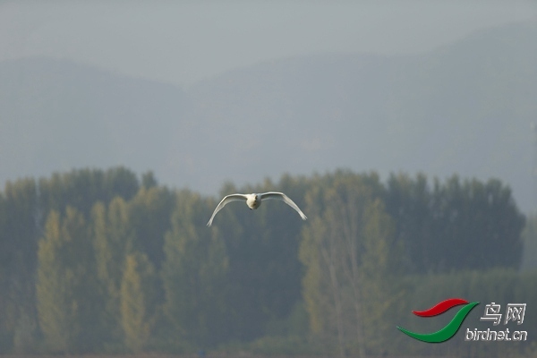_E8J0563.jpg