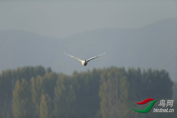 _E8J0564.jpg