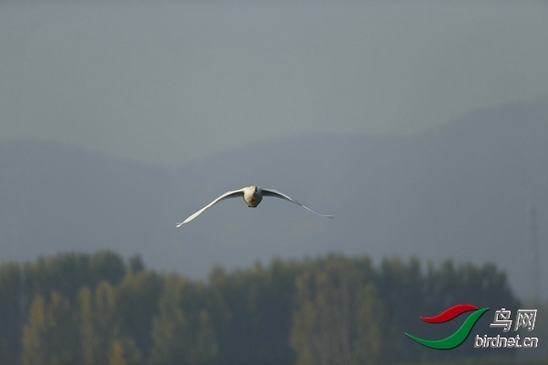 _E8J0572.jpg