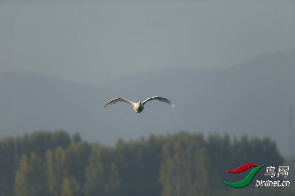 _E8J0570.jpg