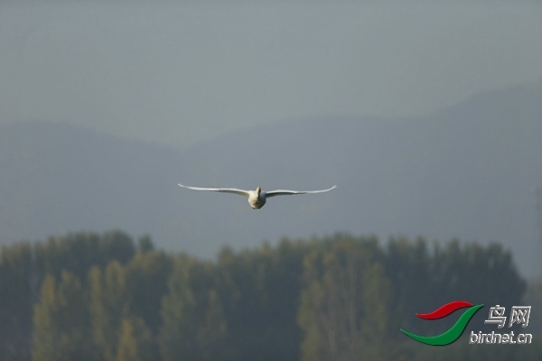 _E8J0568.jpg