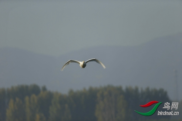 _E8J0573.jpg