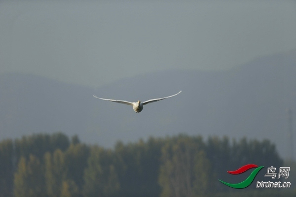 _E8J0571.jpg
