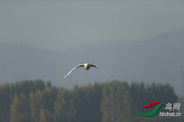 _E8J0569.jpg