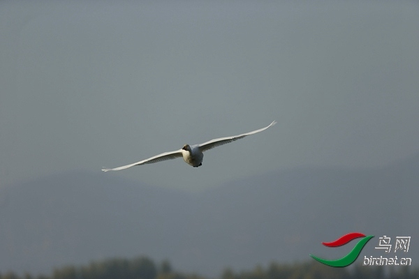 _E8J0581.jpg