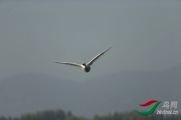 _E8J0580.jpg