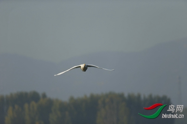 _E8J0575.jpg