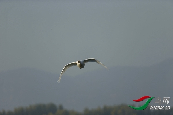 _E8J0579.jpg