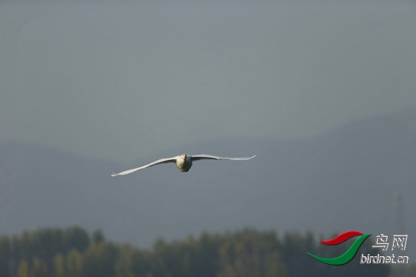 _E8J0578.jpg