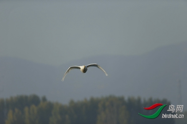 _E8J0576.jpg