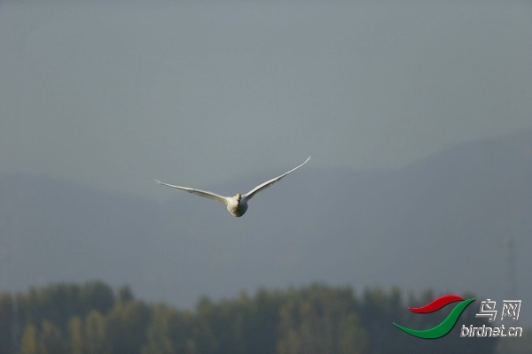_E8J0577.jpg