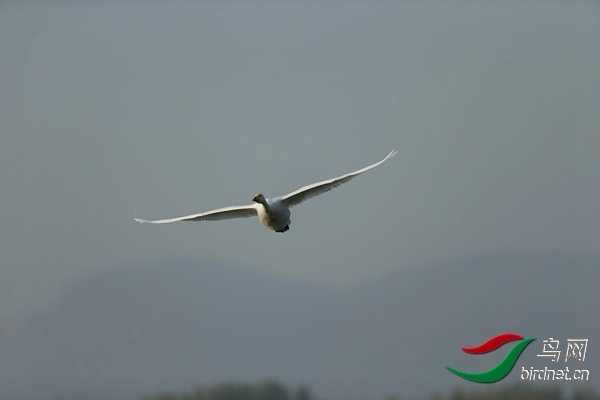_E8J0584.jpg